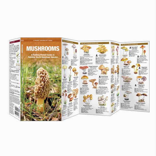 Mushrooms Field Guide