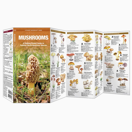 Mushrooms: Folding Pocket Guide