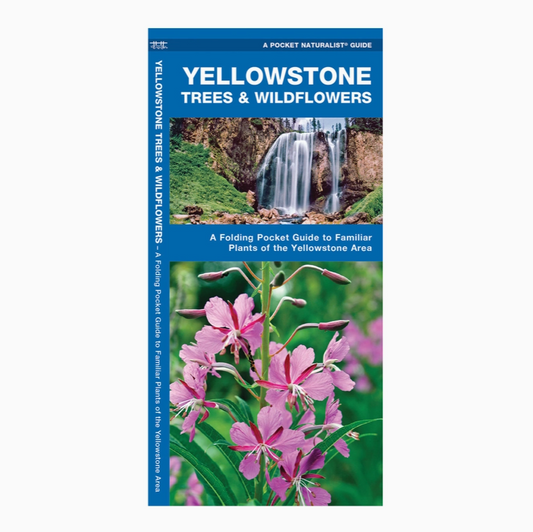 Yellowstone Trees & Wildflowers Nature Guide