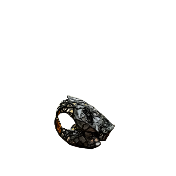 Beaver Skull