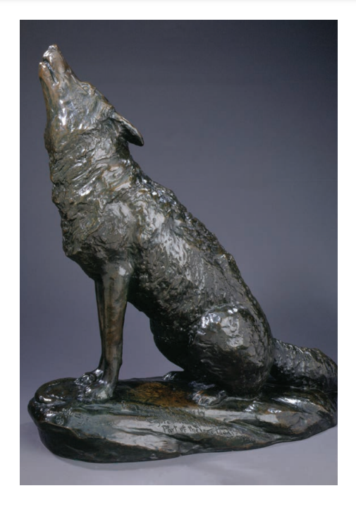 Edward Kemeys 'Gray Spirit' Postcard