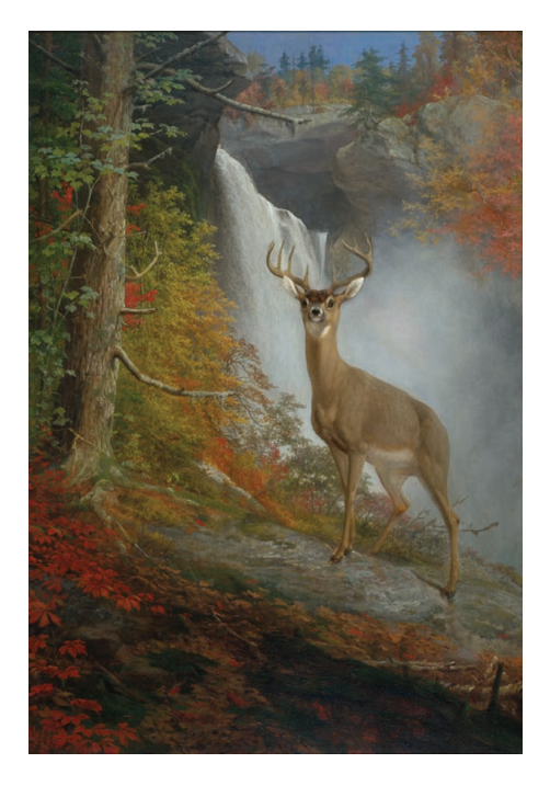 William Holbrook Beard 'Majestic Stag' Postcard