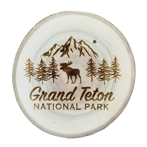 Grand Teton National Park Coaster, Tetons, Wyoming