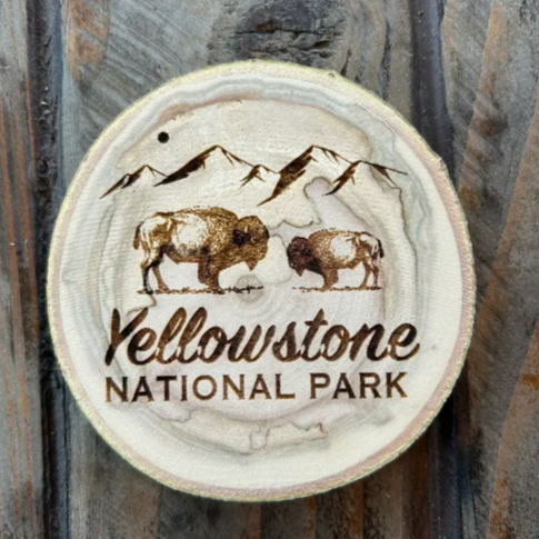 Yellowstone National Park Coaster