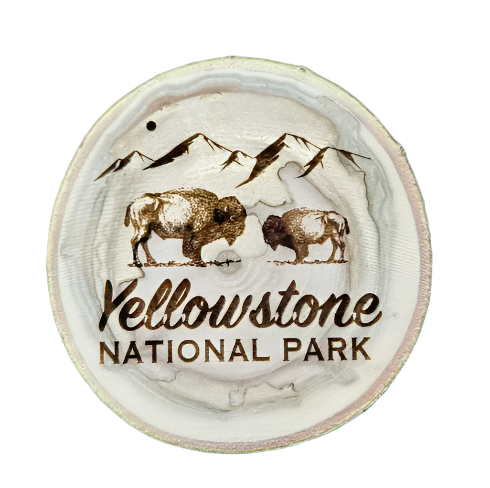 Yellowstone National Park Coaster