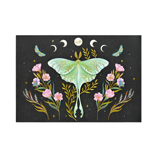 Luna Moth Note Cards