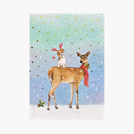 Winter Friends Small Boxed Holiday Cards