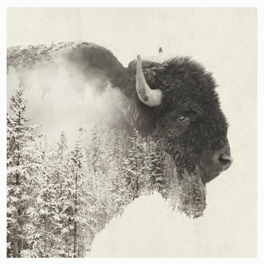 Majestic Buffalo - Cocktail Napkin