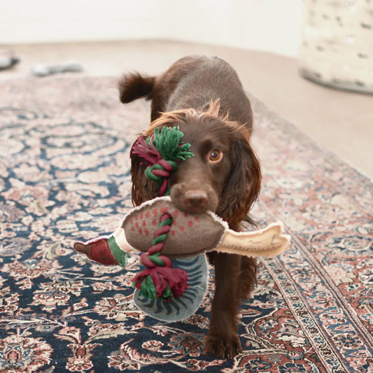 Dog Toy - Pheasant Rope