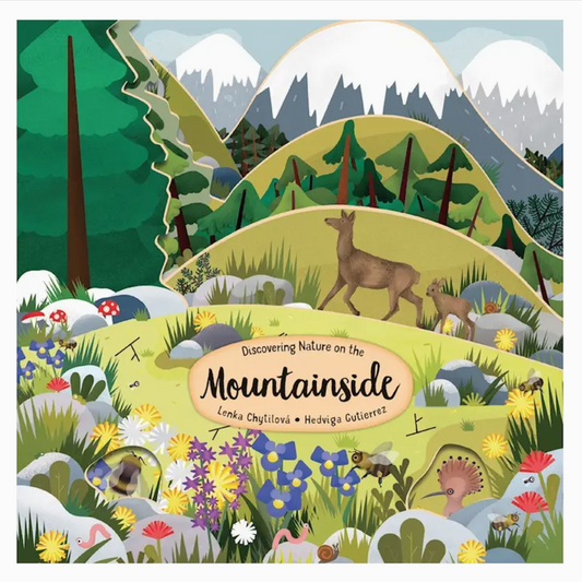 Mountainside Layered - Board Book