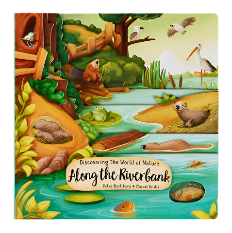 Along The Riverbank - Board Book