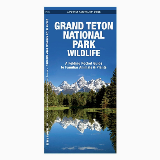 Grand Teton Wildlife Nature Guide