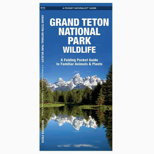 Grand Teton National Park Wildlife Nature Guide