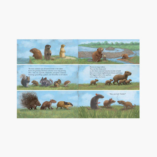 All the Mammals in the World