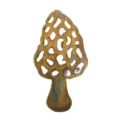 Morel Mushroom Magnet