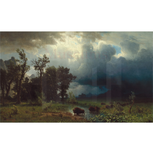 Buffalo Trail: The Impending Storm