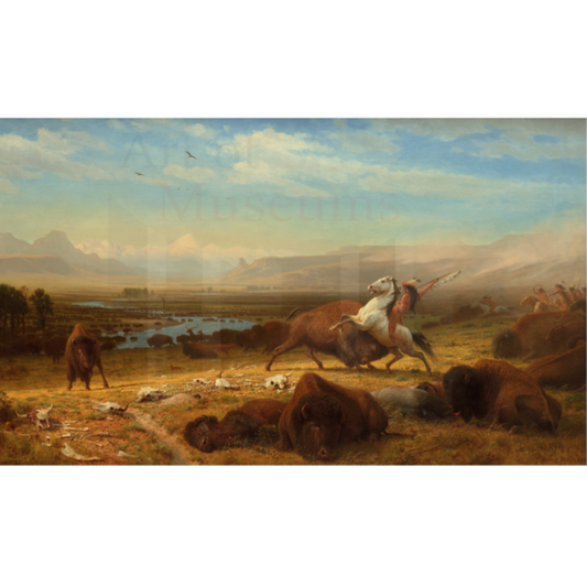 The Last of the Buffalo