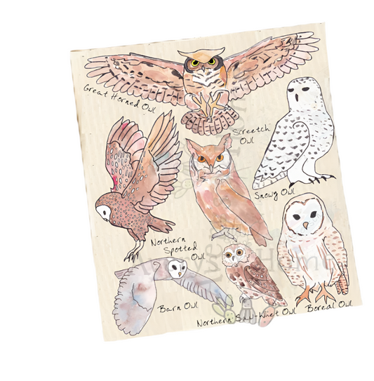 Owls For Bird Watchers Organic Swedish Dishcloth