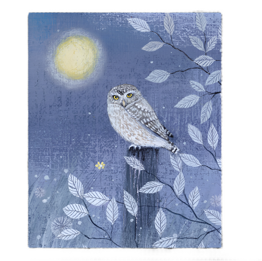 Owl Moon Greeting Card