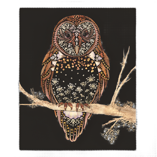 Owl Wild Blank Greeting Card