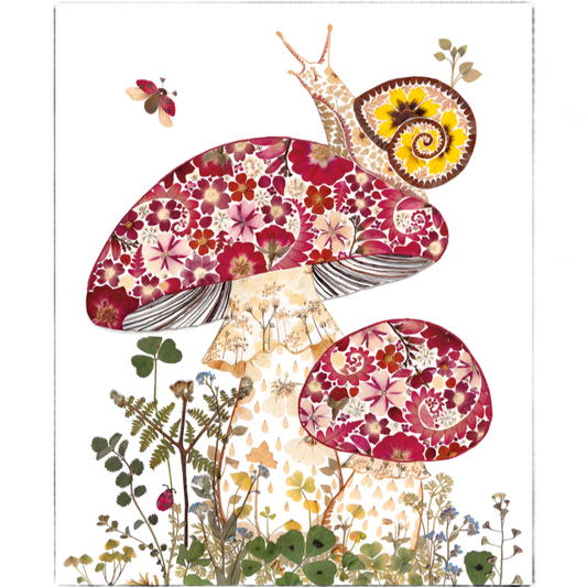 Snail & Toadstools Blank Greeting Card