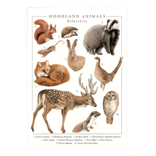 Wood Animals Greeting Card