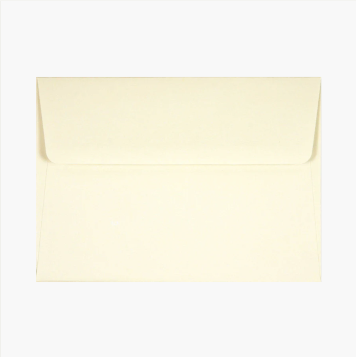 Hummingbird Flight Note Cards