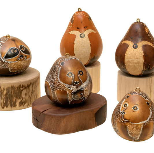 Ornament Gourd Forest Mix