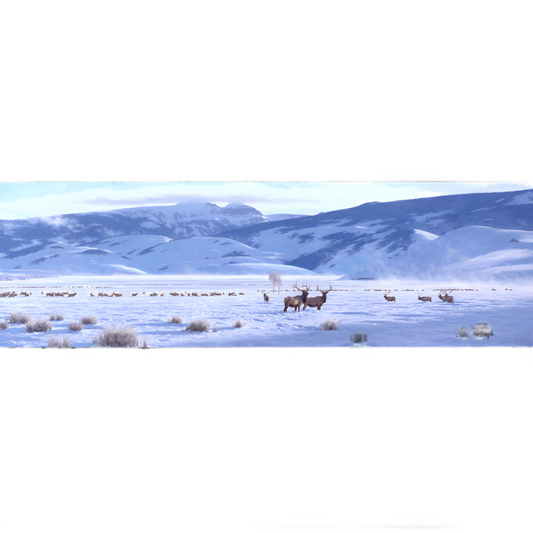 Framed The Refuge Tucker Smith