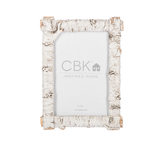 Rustic Birch Finish 4x6 Frame