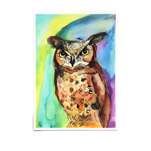 Owl Eyes Magnet (colorful)