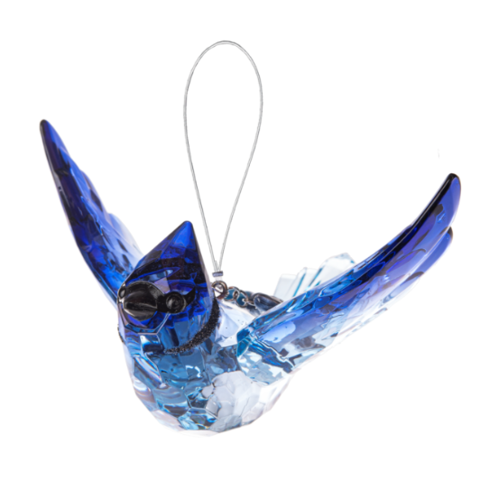 Blue Jay w/ Charm