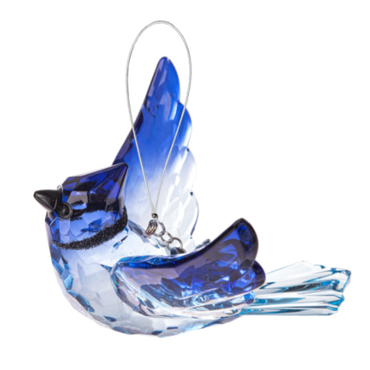 Blue Jay w/ Charm