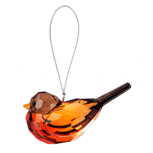 Robin Bird