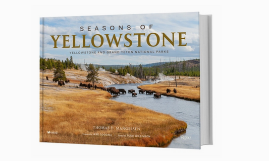 Seasons Of Yellowstone