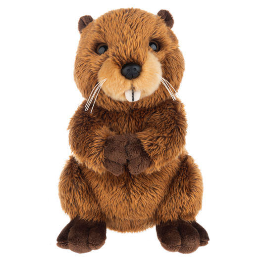 The Heritage Collection Beaver