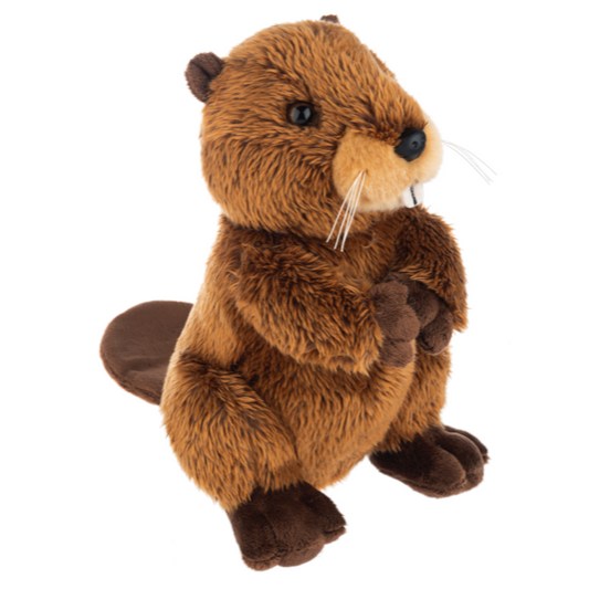 The Heritage Collection Beaver