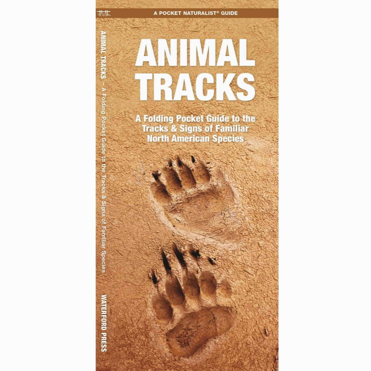 Animal Tracks: A Folding Pocket Guide