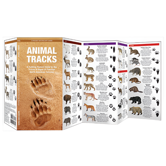 Animal Tracks: A Folding Pocket Guide