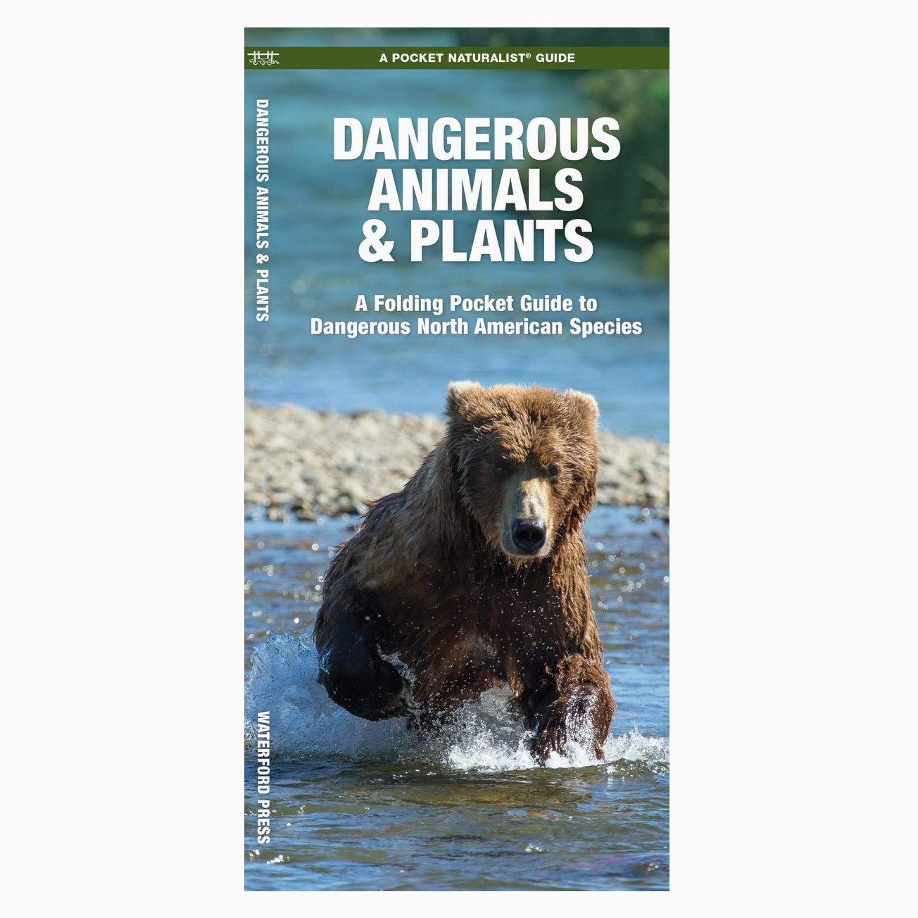 Dangerous Animals & Plants: A Folding Pocket Guide