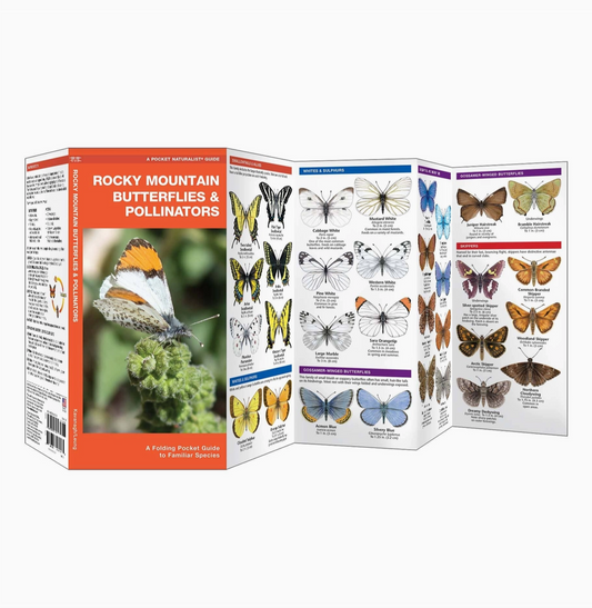 Rocky Mountain Butterflies & Pollinators Nature Guide