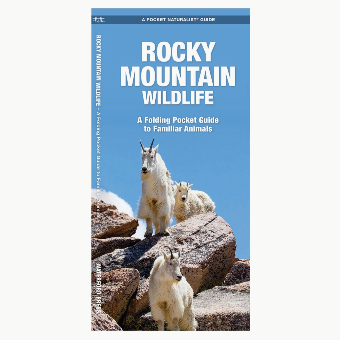 Rocky Mountain Wildlife Nature Guide