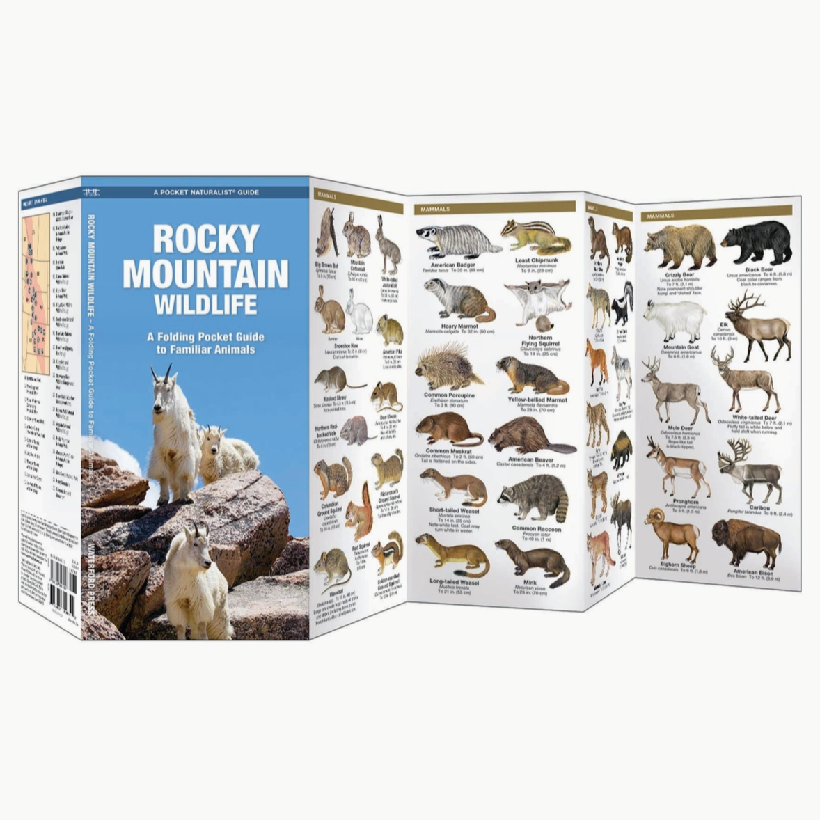 Rocky Mountain Wildlife Nature Guide