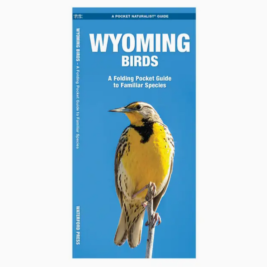 Wyoming Birds Nature Guide