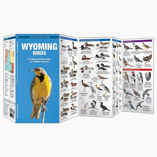 Wyoming Birds Nature Guide