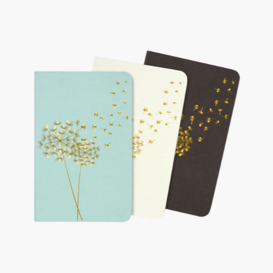 Jotter Mini Notebook Set: Dandelion Wishes