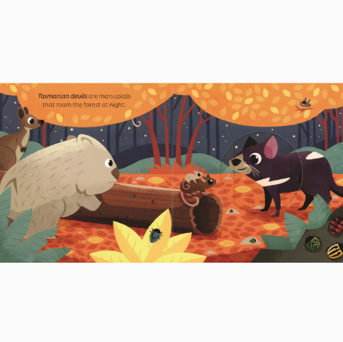 Animal Magic: in the Night