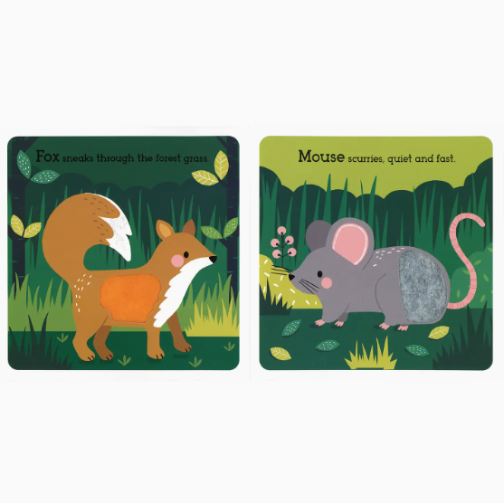 Read, Touch, Discover: Wonderful Wildlife