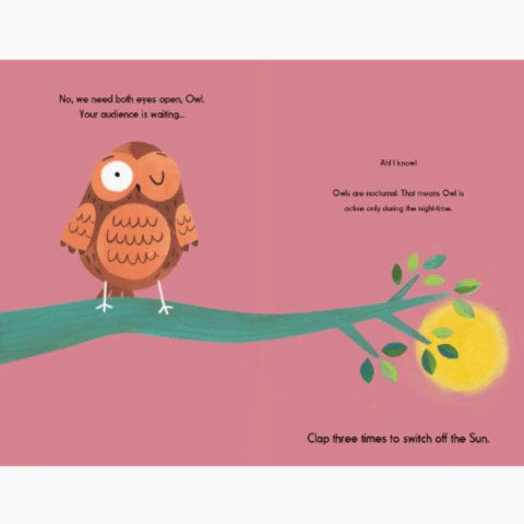 This Is Owl