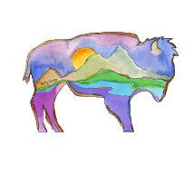 Sunset Bison Magnet